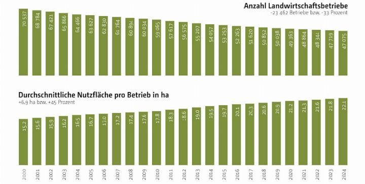 Die Anzahl der Schweizer Bauernbetriebe sinkt kontinuierlich. DIAGRAMM: ZVG