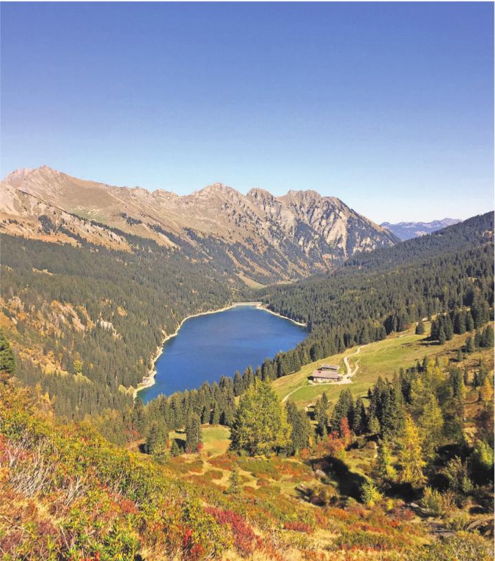 Herbstzeit: leuchtende Farben!