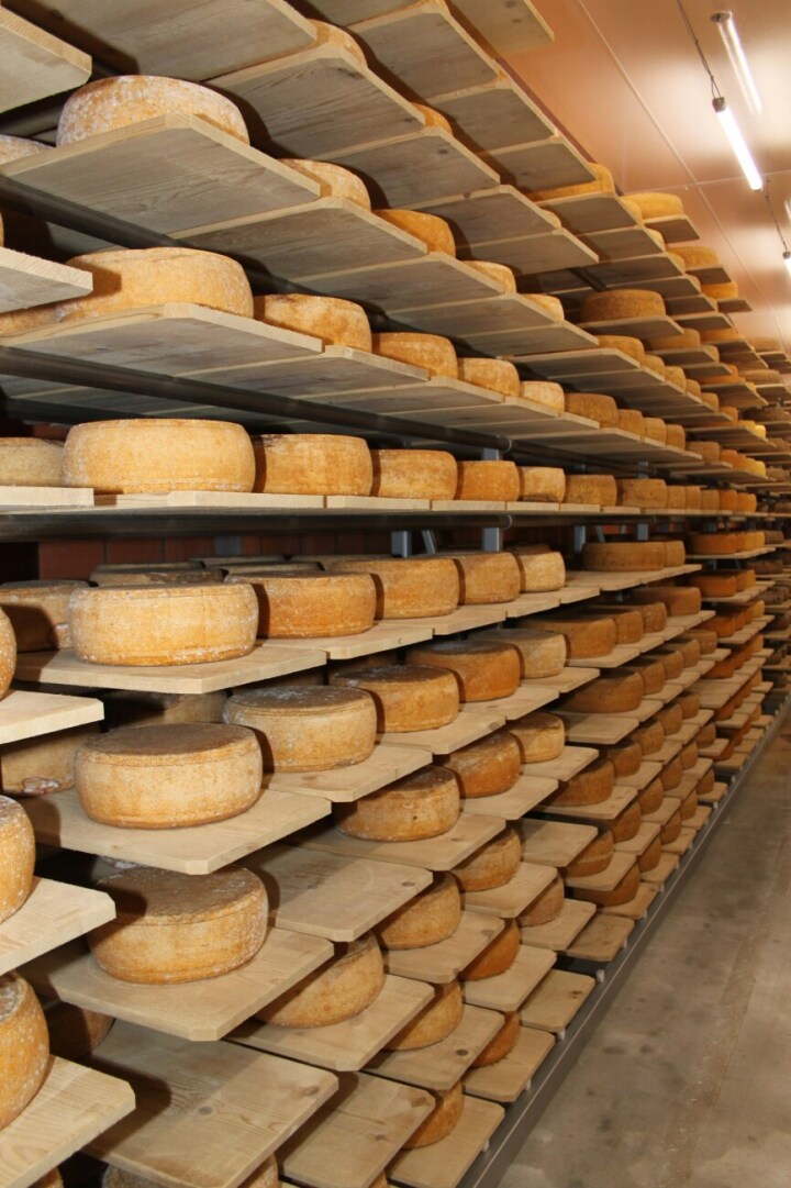 Wird zuwenig Käse exportiert, bliebt er in den Lagern liegen und drückt auf die Preise. (Symbolbild: Unsplash)