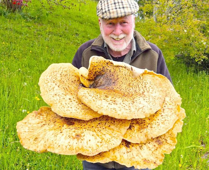 FOTO: ZVG