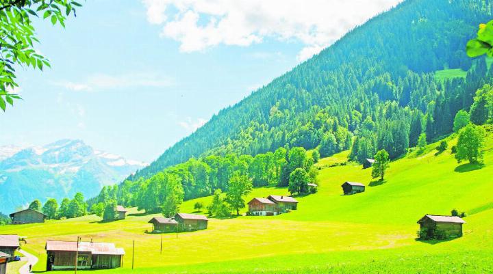 Im Pilotareal am ostwärts ausgerichteten Hangfuss des Staldehore im Grund findet sich eine Kulturlandschaft, deren traditioneller Charakter weitgehend erhalten ist. Sie erstreckt sich von der Talsohle auf circa 1000 Metern über Meer bis zu den Vorschessen auf dem Vorder Läger auf rund 1400 Metern.