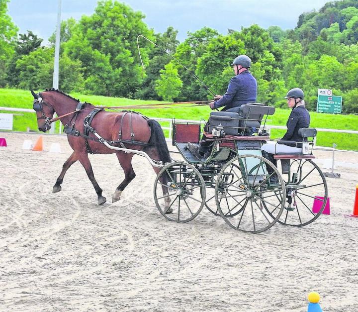 Christian Schopfer mit Escado de Gessenay im Einsatz. FOTO: ZVG