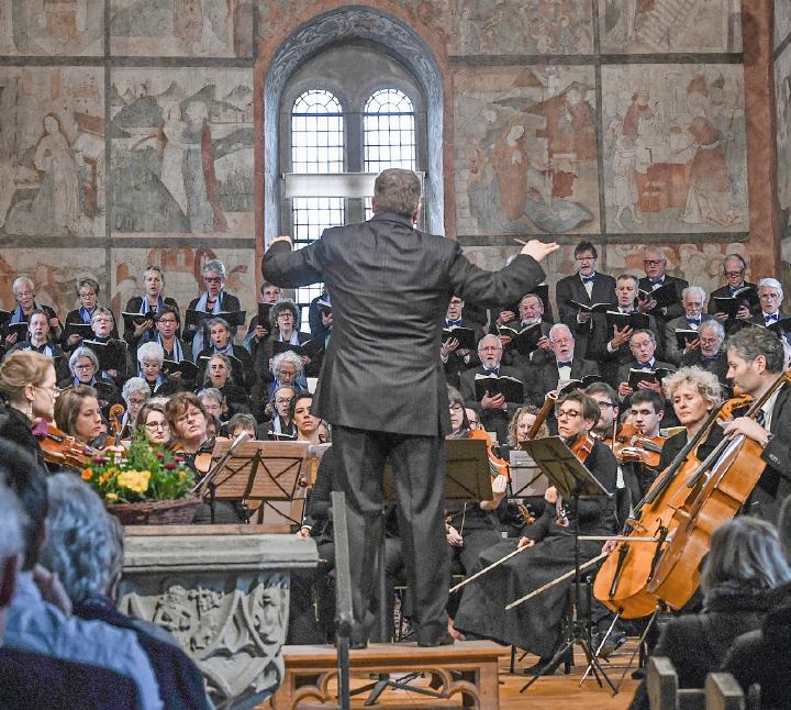 Orchestra degli Amici   FOTO: ZVG