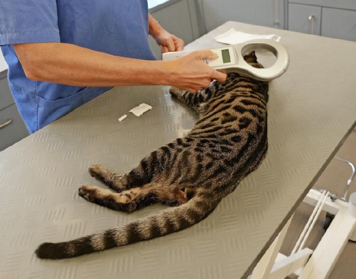 Hat alles funktioniert? FOTOS: PAULA MITTAG Hat alles funktioniert? FOTOS: PAULA MITTAG