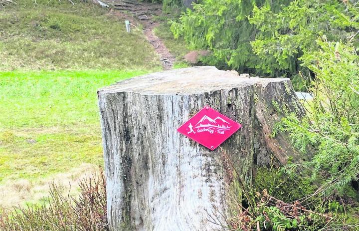 Der Hundsrügg-Trail ist mit roten Wegweisern beschildert und nutzt bestehende Wege. FOTOS: MATTHIAS KURT