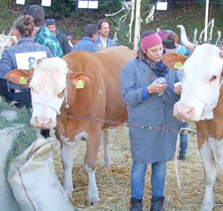 Künftig müssen alle mitarbeitenden Ehe- und Lebenspartner:innen in der Landwirtschaft versichert sein – sonst greift der Bund ab 2027 zu harten Kürzungen. SYMBOLBILD: ARCHIV AVS/VRENI MÜLLENER