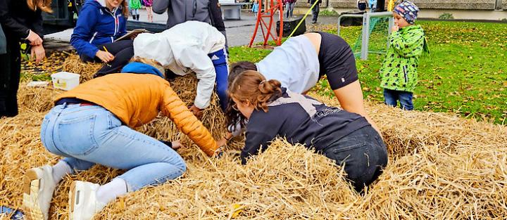 Die Nadel im Heuhaufen in Form von Puzzle im Strohhaufen! FOTO: ZVG