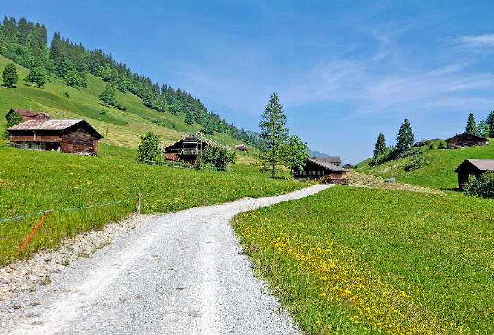 Die Senioren geniessen die idyllische Landschaft vom Lauenensee nach Lauenen. FOTO: ZVG