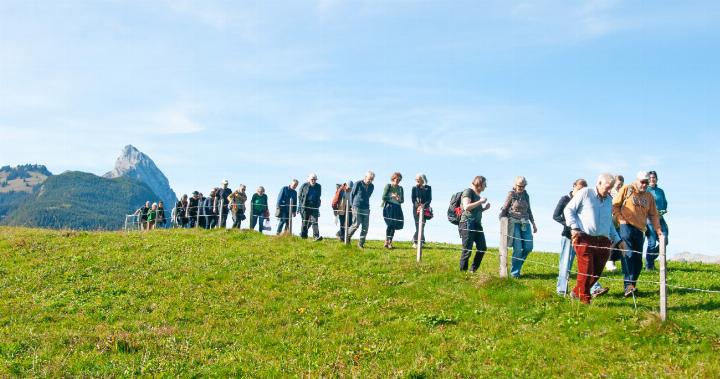 Der Literarische Spaziergang von Gruben nach Gstaad begeisterte ein grosses Publikum. FOTOS: KEREM MAURER