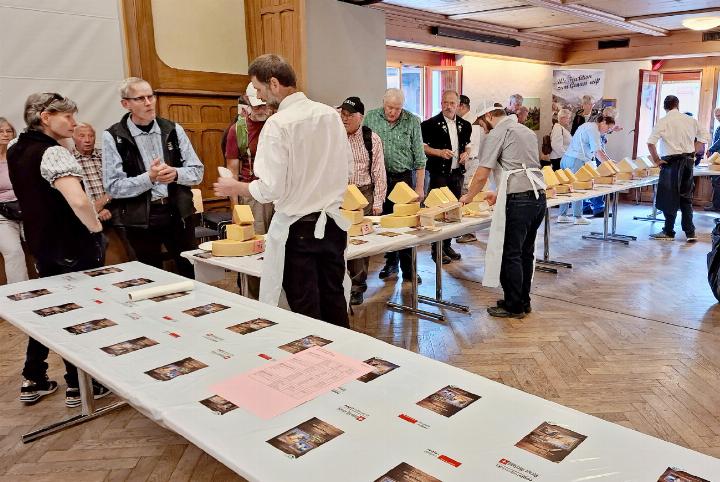 Grosses Interesse an den 130 eingereichten Käselaiben im Landhaus. Interessierte Besucher defilierten mit Zahnstochern bewaffnet an den Hobelkäsen, Coeur des Alpes und Mutschlis vorbei, stellten Fragen, fachsimpelten und degustierten nach Herzenslust. FOTO: UELI MÜLLER
