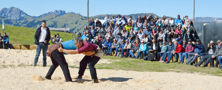 Das Hornberg-Schwinget fand bei strahlendem Wetter statt. Vor atemberaubender Bergkulisse konnten die Zuschauer:innen die Schweizer Tradition hautnah verfolgen. FOTO: ELISA OPPERMANN