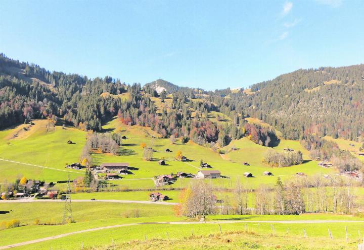 Das Testgebiet in Grund bei Gstaad beinhaltet alles, was die Initianten brauchen: Landschaftsprägendes Kulturgut, landschaftsprägende Bauten, Siedlungsmuster und eine Vielzahl an «Schürleni». FOTO: ZVG