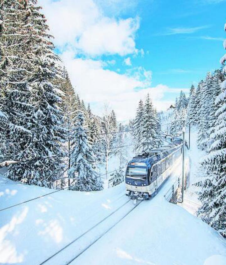 Ab Dezember direkt von Interlaken nach Gstaad mit dem GoldenPass-Express. FOTO: MOB