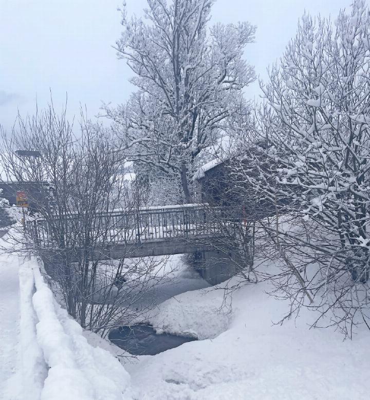 Brücke über den Chalberhönibach bei der Walischistrasse.         FOTO: ANITA MOSER