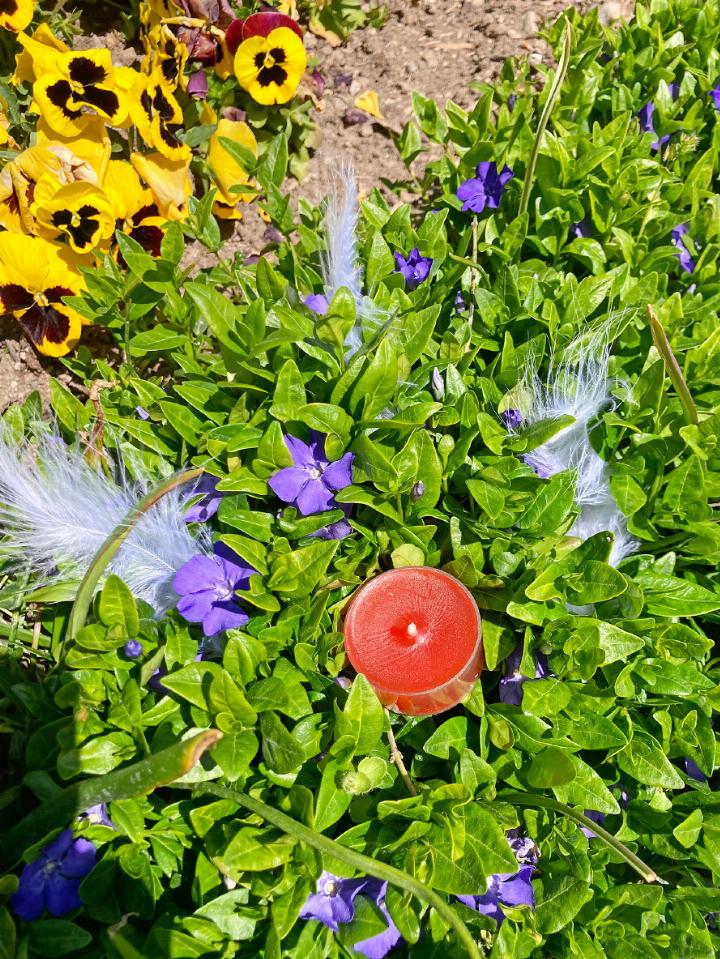 Als Zeichen der Dankbarkeit durften alle Anwesenden eine weisse Feder auf das Grab legen und ihre Gedanken und Gefühle mitgeben. FOTO: TONI SIEGRIST