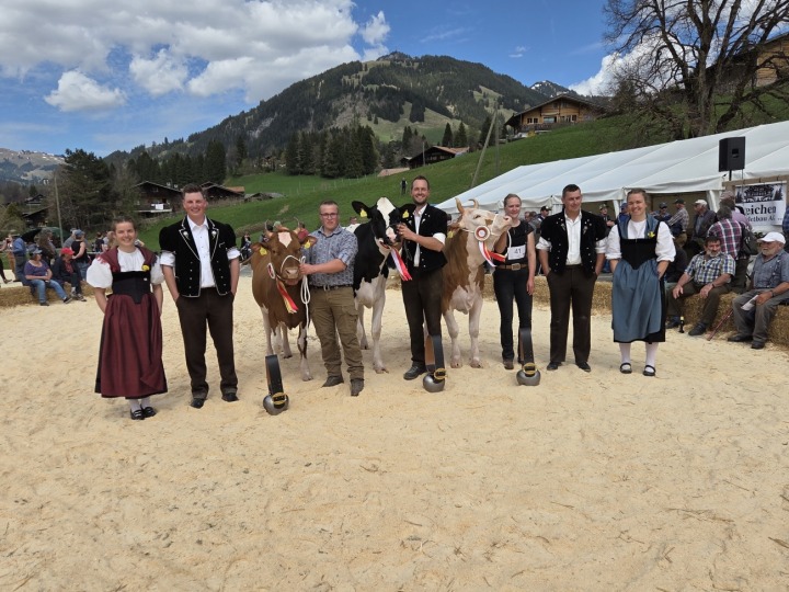 Präsentation der Missen: v.l. Ehrendame Bigna Reichenbach; Richter Sven Bigler; Miss SF von Toni Bergmann, Abländschen; Miss Red Holstein/Holstein von Viktor Reber, Zweisimmen; Miss Simmental von Vanessa Perren, St. Stephan; Ringmann Michael Zbinden und Ehrendame Debora Allenbach. (Foto: Eugen Donrbierer-Hauswirth)