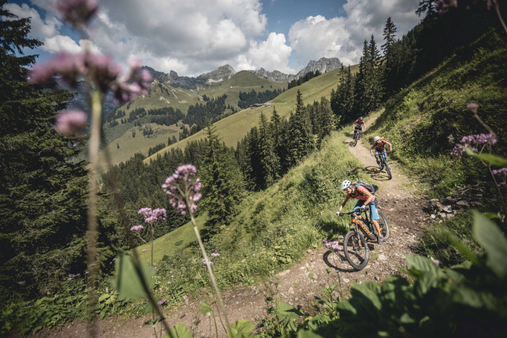 Mit dem E-Mountainbike geht`s leichter hinauf und die Energie reicht noch, um sich anschliessend an der Abfahrt zu erfreuen. (Foto: zVg)