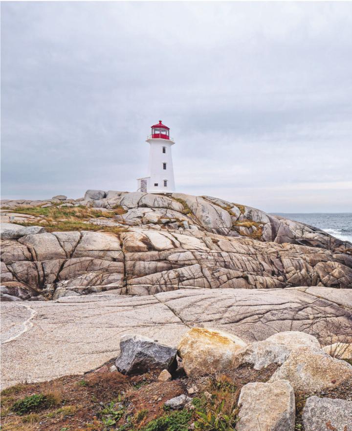 FOTO: GRAZIELLA BRICCOLA