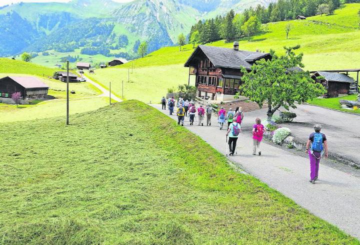 Die Senior:innen sind wieder gemeinsam am Wandern. FOTO: ZVG