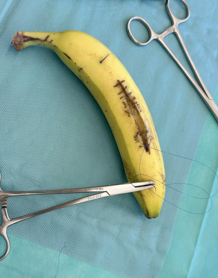 Im Workshop der Mediziner wurden die «Wunden» aufgeplatzter Bananen fachmännisch versorgt und genäht. Mit Originalwerkzeugen und unter fachlicher Aufsicht von Medizinern, die den Grundstein ihrer Ausbildung im Gymnasium Gstaad gelegt hatten.