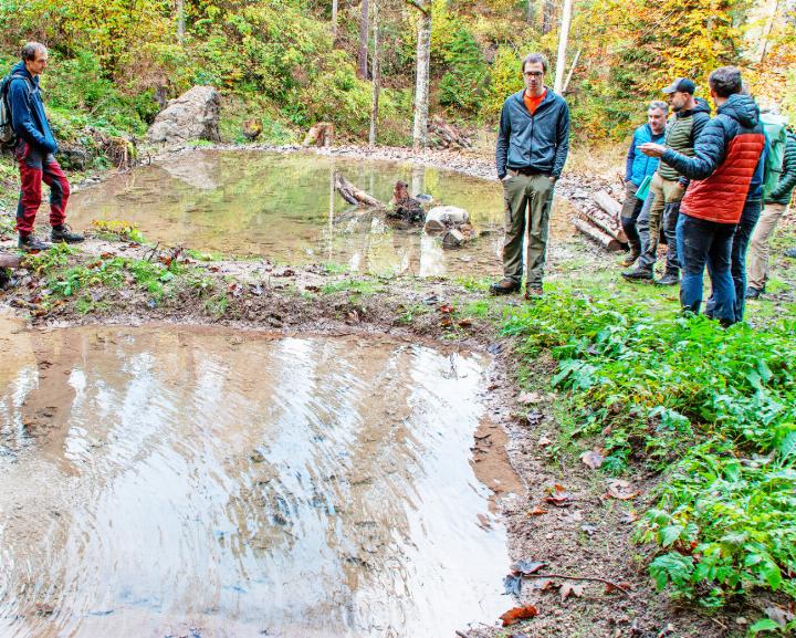 Auffangbecken und grosser Teich. Alles in allem beliefen sich die Baukosten laut Frédéric Blum auf rund 50’000 Franken. FOTO: KEREM MAURER