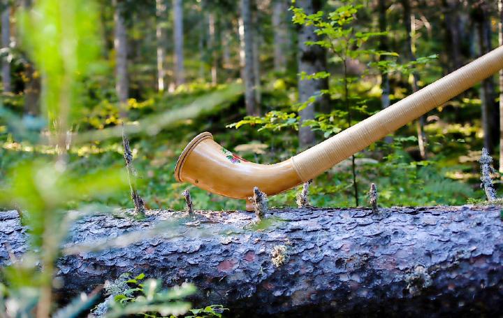 Das Festival Le Bois qui Chante feiert sein Jubiläum. FOTO: ZVG