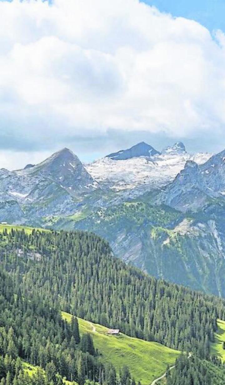 Das Saanenland. FOTO: ZVG