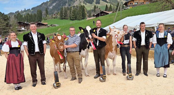 Präsentation der Missen: v.l. Ehrendame Bigna Reichenbach; Richter Sven Bigler; Miss SF von Toni Bergmann, Abländschen; Miss Red Holstein/Holstein von Viktor Reber, Zweisimmen; Miss Simmental von Vanessa Perren, St. Stephan; Ringmann Michael Zbinden und Ehrendame Debora Allenbach.   FOTO: EUGEN DONRBIERER-HAUSWIRTH