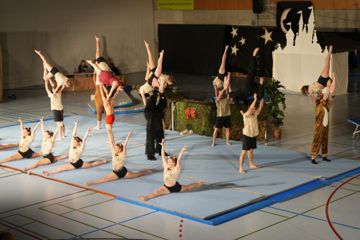 Chaos im Dschungel. (Fotos: Jürg Hauswirth) Chaos im Dschungel. (Fotos: Jürg Hauswirth)