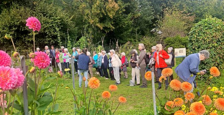 Ein Teil der Reisegruppe an der Dahlienschau in Lützelflüh. FOTOS: ZVG