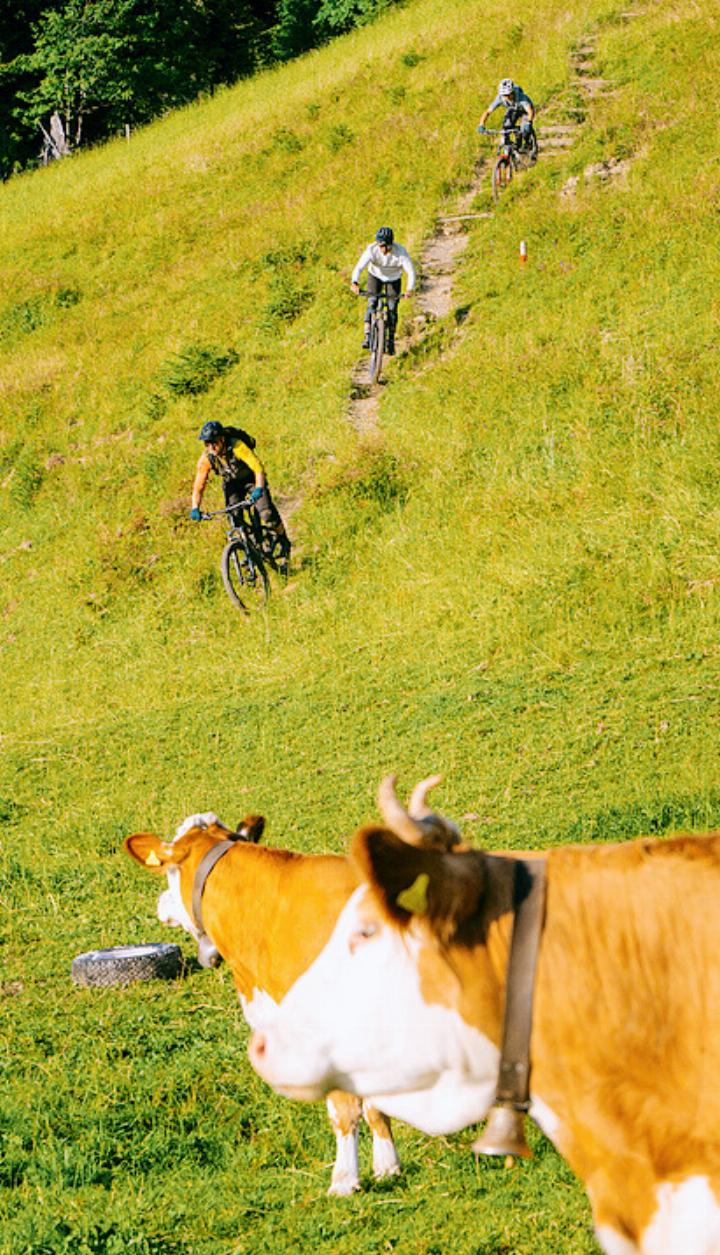 Im Base Bike Shop wird die schönste Bikejahreszeit, der Indian Summer, gefeiert. FOTO: ZVG