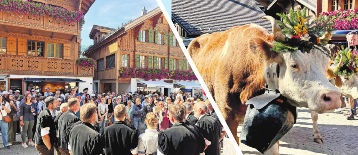 Andächtig lauscht das Publikum dem Jodlerklub Siehen.FOTO: DAVID SCHMID . Überall geschmückte Kühe. FOTO: SELINA RIEGERT