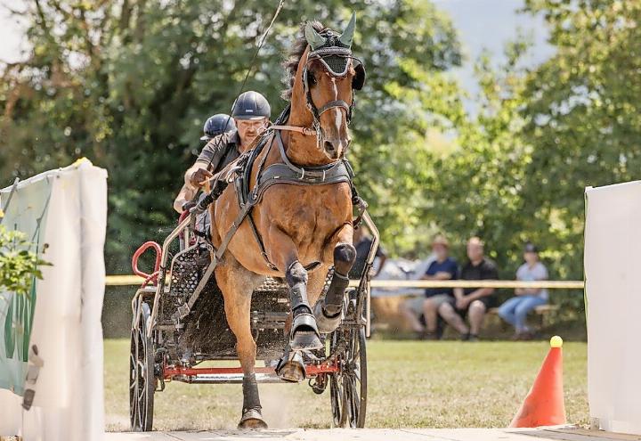 Überfahren der Brücke im Hindernisparcours. FOTOS: ZVG