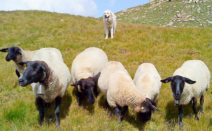 FOTO: MIRJAM BALLMER FOTO: MIRJAM BALLMER