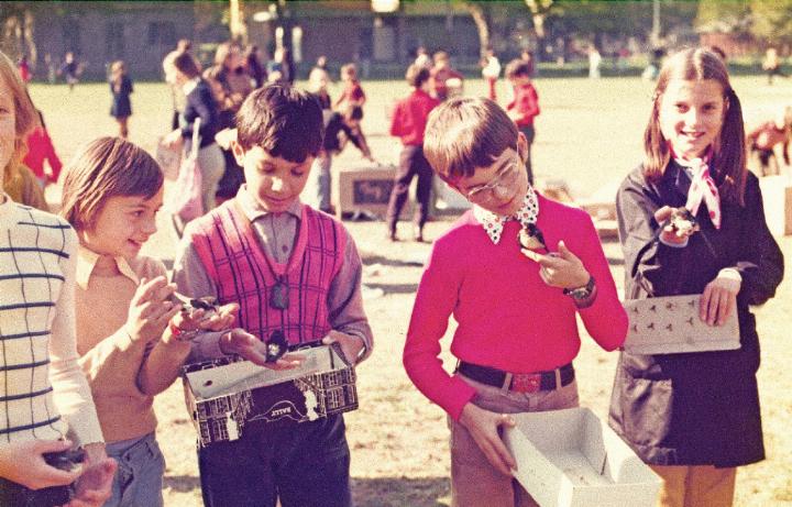 Schulkinder beteiligen sich 1974 an der gemeinsamen Aktion, die Schwalben zu retten. FOTO RECHTS: ARCHIV SCHWEIZERISCHE VOGELWARTE/ SYMBOLFOTO LINKS: ADOBESTOCK