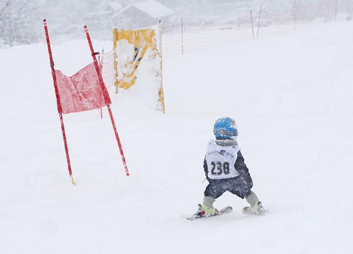 Ein Schoggola-Junior bahnt sich den Weg durch den Schnee.