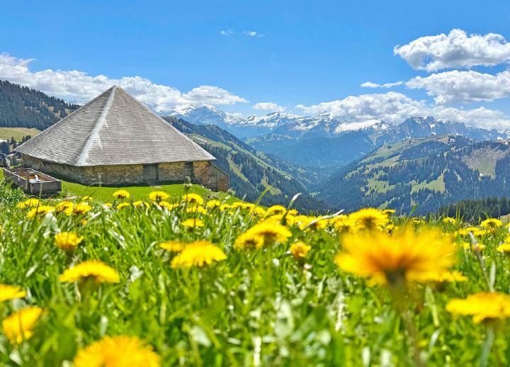 An Auffahrt startet die Grubenberghütte in die Sommersaion. FOTO: ZVG