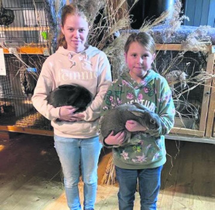 Die beiden erfolgreichen Jungzüchterinnen Svenja Eschler (links) und Lynn Aeschbacher mit ihren ausgezeichneten Tieren. FOTO: ZVG