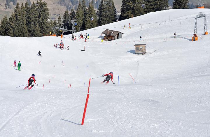 Das Parallelrennen am Läger war nach
dem JO-Rennen sehr beliebt. FOTOS: SKICLUB SCHÖNRIED Das Parallelrennen am Läger war nach
dem JO-Rennen sehr beliebt. FOTOS: SKICLUB SCHÖNRIED