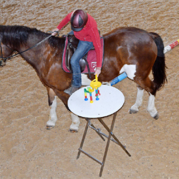 Mit Köpfchen und Gefühl im Sattel: Gymkhana sorgt für Spannung und Lacher - Gar nicht so einfach: Marmelspiel vom Pferderücken aus.