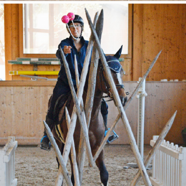 Mit Köpfchen und Gefühl im Sattel: Gymkhana sorgt für Spannung und Lacher - «Triff den Heinz.»