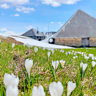 Grubenberghütte eröffnet Sommersaison 2026 - Die Grubenberghütte startet in eine neue Saison. FOTO: ZVG