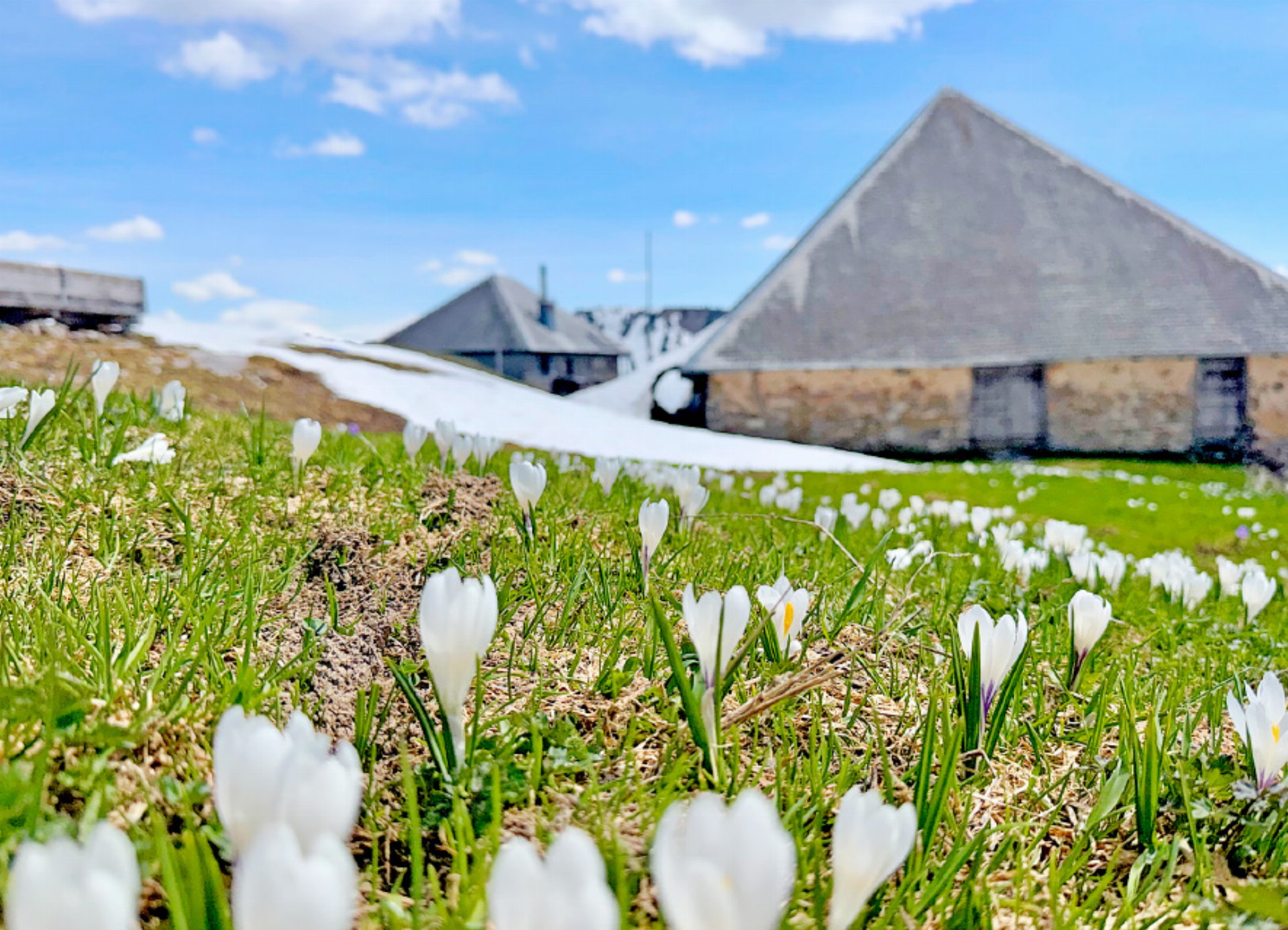 Grubenberghütte eröffnet Sommersaison 2026 - Das Bild wird blockiert. – Möglicherweise durch einen aktiven Adblocker.