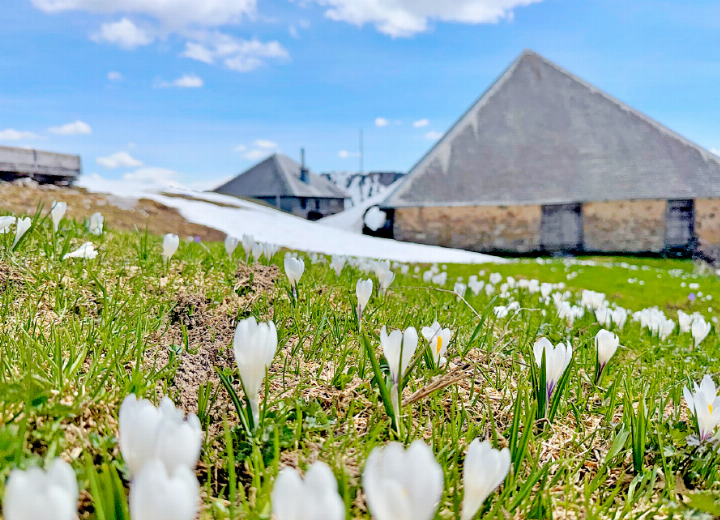 Die Grubenberghütte startet in eine neue Saison. FOTO: ZVG