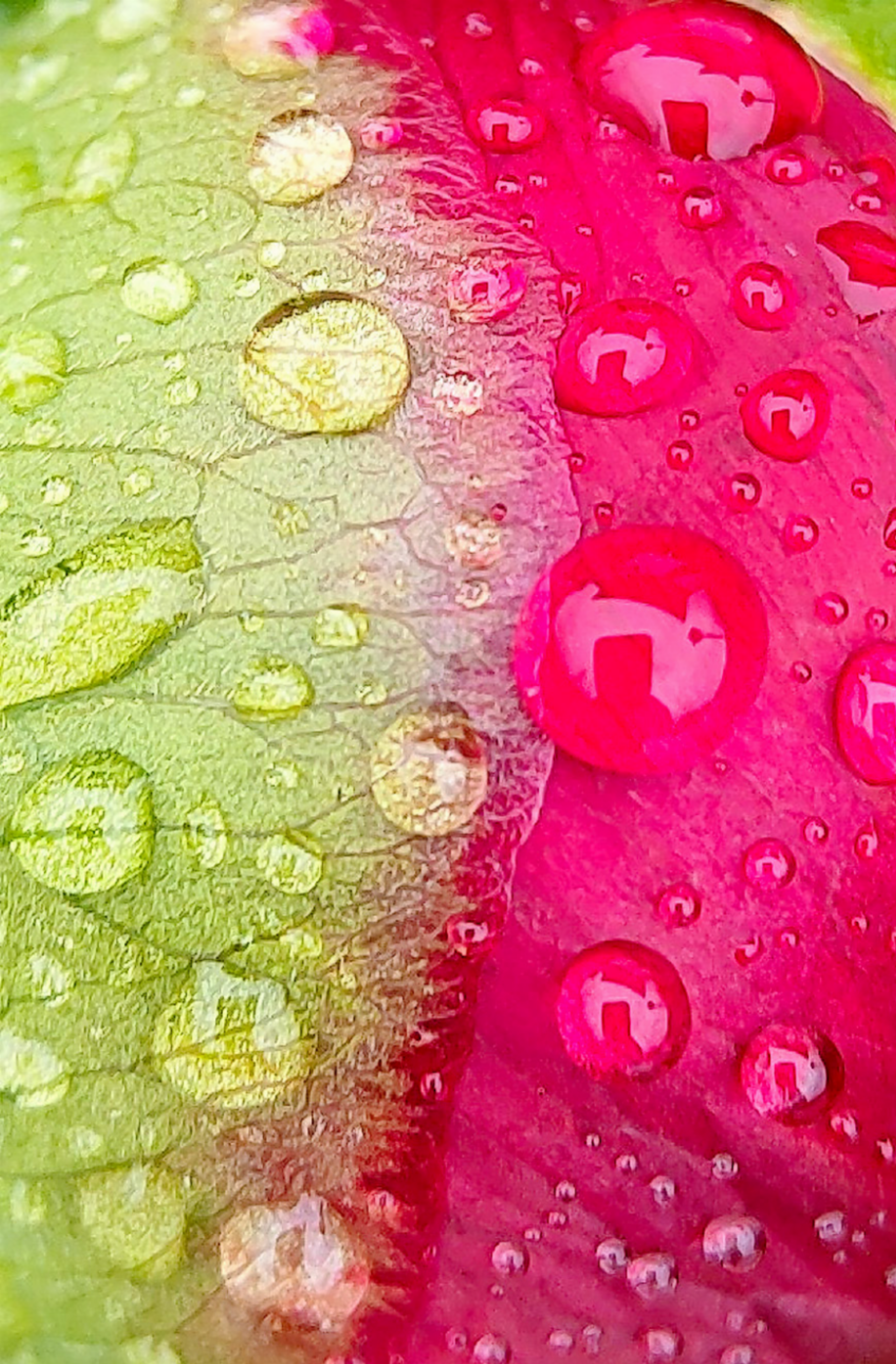 LESERBILD - Das Bild wird blockiert. – Möglicherweise durch einen aktiven Adblocker.