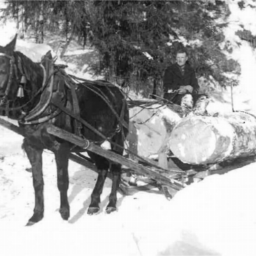 Der Wald prägte Willi Bach - Die Faszination vom Wald liegt in der Familie. «Ein Foto von Grosspapa Willi Raflaub auf der Trämelfuhr, 1953», erzählt Willi Bach.   FOTO: ZVG