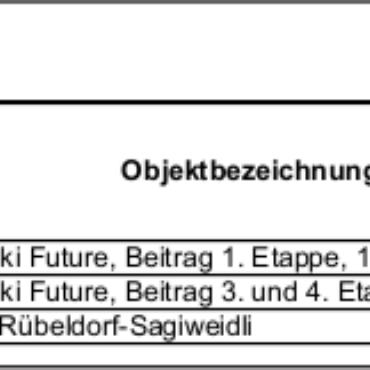 Protokoll der 1. ausserordentlichen Gemeindeversammlung von Saanen