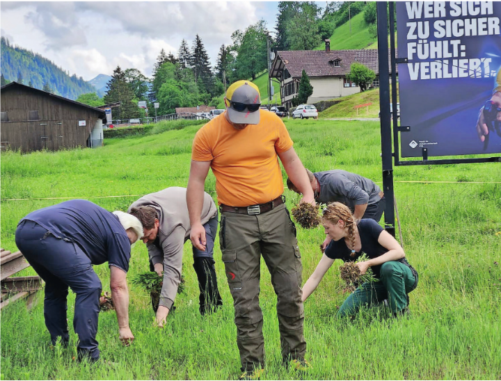 Die Teilnehmenden in Zweisimmen schulten das Auge für das Einjährige Berufkraut. FOTO: ZVG Die Teilnehmenden in Zweisimmen schulten das Auge für das Einjährige Berufkraut. FOTO: ZVG