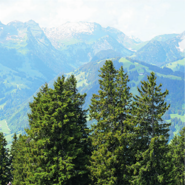 Wanderfestival lockt Publikum aus der ganzen Schweiz an - Zwischen Wäldern und Wiesen auf dem Weg zur Hiking-Sounds-Stage.   FOTOS: MAXIME VÖGELE
