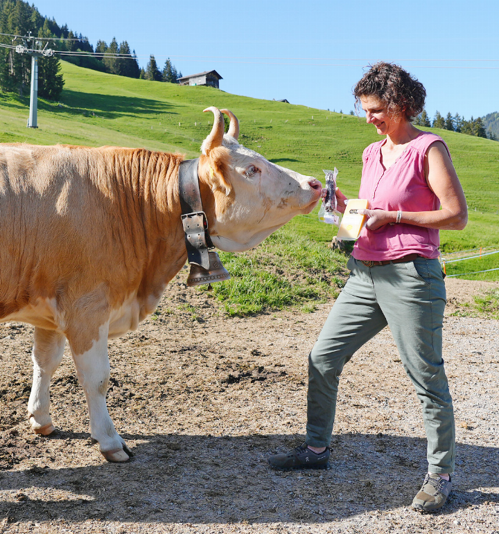 «Nanu, was bringt mir meine Chefin denn da?» Neugierig beschnuppert die Kuh die «Ächt vo hie»-Produkte, die Ursula Michel zum Interview mitgebracht hat. FOTOS: SONJA WOLF «Nanu, was bringt mir meine Chefin denn da?» Neugierig beschnuppert die Kuh die «Ächt vo hie»-Produkte, die Ursula Michel zum Interview mitgebracht hat. FOTOS: SONJA WOLF